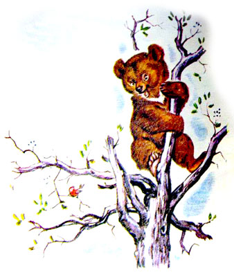 قصه کودکانه ماجرای سه بچه خرس-داستانهای مصوّر رنگی برای کودکان -ارشیو قصه و داستان ایپابفا